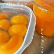 ヒメ日記 2025/07/06 08:08 投稿 湊かすみ ローテンブルク