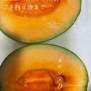 ヒメ日記 2025/07/07 08:34 投稿 湊かすみ ローテンブルク