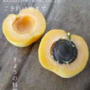 ヒメ日記 2025/07/10 09:44 投稿 湊かすみ ローテンブルク