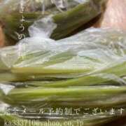 ヒメ日記 2025/07/11 08:53 投稿 湊かすみ ローテンブルク