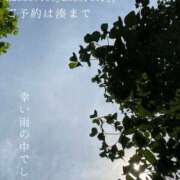 ヒメ日記 2025/07/14 00:53 投稿 湊かすみ ローテンブルク