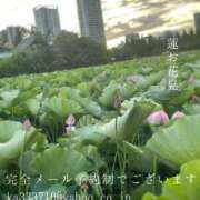 ヒメ日記 2025/07/15 09:44 投稿 湊かすみ ローテンブルク