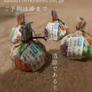 ヒメ日記 2025/07/23 07:51 投稿 湊かすみ ローテンブルク