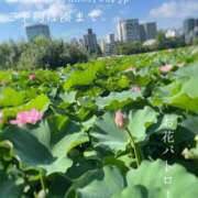 ヒメ日記 2025/07/25 09:50 投稿 湊かすみ ローテンブルク