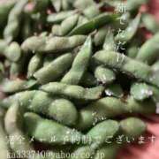 ヒメ日記 2025/07/28 05:28 投稿 湊かすみ ローテンブルク