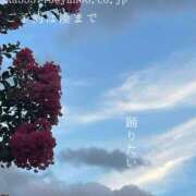 ヒメ日記 2025/07/30 07:12 投稿 湊かすみ ローテンブルク