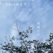 ヒメ日記 2025/07/31 07:24 投稿 湊かすみ ローテンブルク