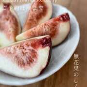 ヒメ日記 2025/08/04 07:07 投稿 湊かすみ ローテンブルク