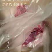 ヒメ日記 2025/08/08 07:17 投稿 湊かすみ ローテンブルク