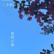 ヒメ日記 2025/08/10 08:24 投稿 湊かすみ ローテンブルク