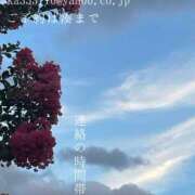 ヒメ日記 2025/08/11 08:06 投稿 湊かすみ ローテンブルク