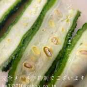 ヒメ日記 2025/08/15 07:36 投稿 湊かすみ ローテンブルク