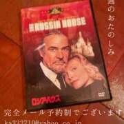 ヒメ日記 2025/08/15 08:42 投稿 湊かすみ ローテンブルク