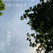 ヒメ日記 2025/08/19 08:47 投稿 湊かすみ ローテンブルク