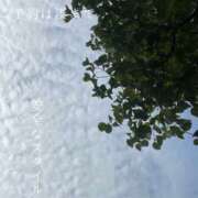 ヒメ日記 2025/08/22 07:35 投稿 湊かすみ ローテンブルク