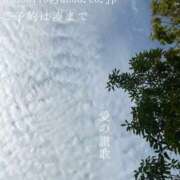 ヒメ日記 2025/08/23 09:01 投稿 湊かすみ ローテンブルク