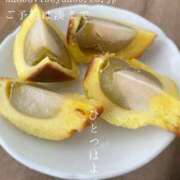 ヒメ日記 2025/08/24 06:31 投稿 湊かすみ ローテンブルク