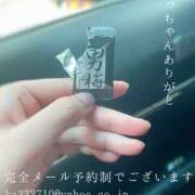 ヒメ日記 2025/08/26 08:16 投稿 湊かすみ ローテンブルク