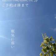 ヒメ日記 2025/08/28 09:20 投稿 湊かすみ ローテンブルク