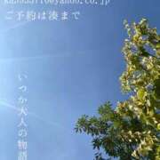 ヒメ日記 2025/09/01 08:01 投稿 湊かすみ ローテンブルク