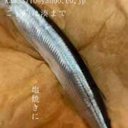 ヒメ日記 2025/09/02 08:47 投稿 湊かすみ ローテンブルク