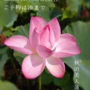 ヒメ日記 2025/09/06 08:23 投稿 湊かすみ ローテンブルク