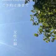 ヒメ日記 2025/09/08 08:59 投稿 湊かすみ ローテンブルク