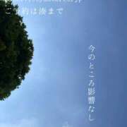 ヒメ日記 2025/09/08 09:33 投稿 湊かすみ ローテンブルク
