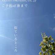 ヒメ日記 2025/09/10 08:47 投稿 湊かすみ ローテンブルク