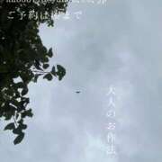 ヒメ日記 2025/09/15 19:48 投稿 湊かすみ ローテンブルク