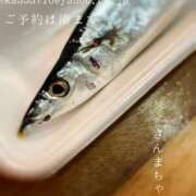 ヒメ日記 2025/09/19 09:21 投稿 湊かすみ ローテンブルク
