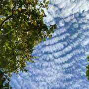 ヒメ日記 2025/09/23 08:05 投稿 湊かすみ ローテンブルク