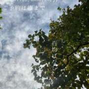 ヒメ日記 2025/09/25 09:36 投稿 湊かすみ ローテンブルク