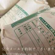 ヒメ日記 2025/09/27 08:50 投稿 湊かすみ ローテンブルク