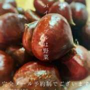 ヒメ日記 2025/10/15 23:17 投稿 湊かすみ ローテンブルク