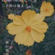 ヒメ日記 2025/10/19 09:19 投稿 湊かすみ ローテンブルク