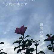 ヒメ日記 2025/10/20 08:16 投稿 湊かすみ ローテンブルク