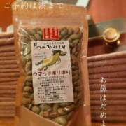 ヒメ日記 2025/10/20 08:49 投稿 湊かすみ ローテンブルク