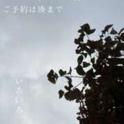 ヒメ日記 2025/10/22 08:38 投稿 湊かすみ ローテンブルク