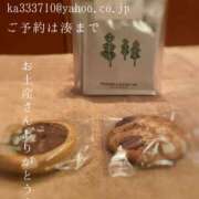 ヒメ日記 2025/10/23 08:48 投稿 湊かすみ ローテンブルク