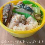 ヒメ日記 2025/10/23 09:08 投稿 湊かすみ ローテンブルク