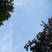 ヒメ日記 2025/10/30 09:06 投稿 湊かすみ ローテンブルク