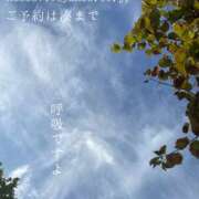 ヒメ日記 2025/11/04 08:57 投稿 湊かすみ ローテンブルク