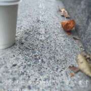 ヒメ日記 2025/11/04 09:03 投稿 湊かすみ ローテンブルク