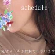 ヒメ日記 2025/11/08 23:35 投稿 湊かすみ ローテンブルク