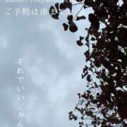 ヒメ日記 2025/11/10 00:18 投稿 湊かすみ ローテンブルク