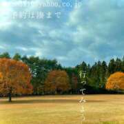 ヒメ日記 2025/11/10 01:21 投稿 湊かすみ ローテンブルク