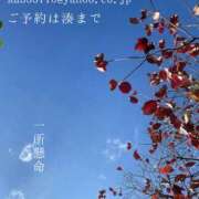 ヒメ日記 2025/11/11 08:26 投稿 湊かすみ ローテンブルク