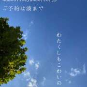 ヒメ日記 2025/11/11 09:37 投稿 湊かすみ ローテンブルク