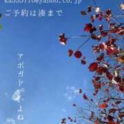 ヒメ日記 2025/11/12 08:49 投稿 湊かすみ ローテンブルク